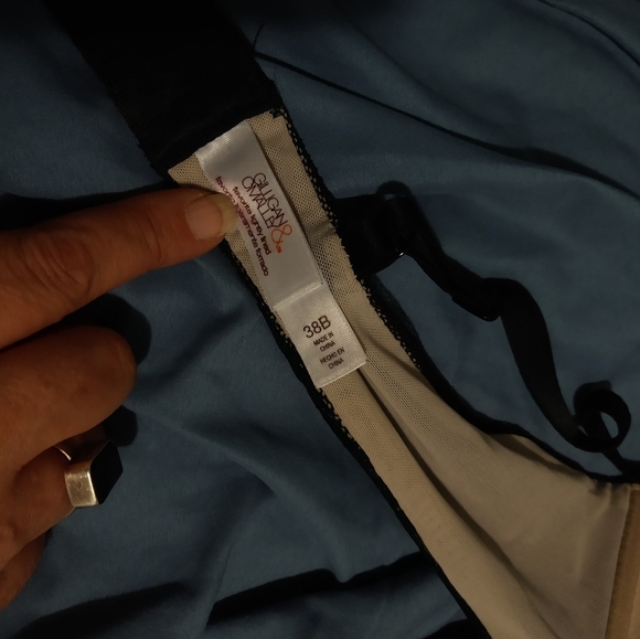 Ladies Bra - Picture 3 of 3